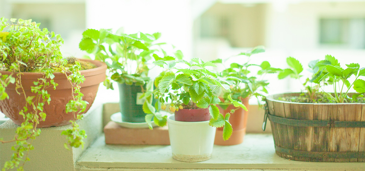 東御市常田 整形外科