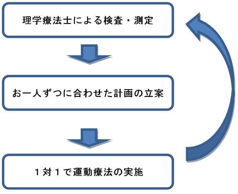運動療法の流れ
